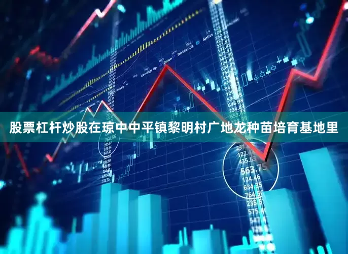 股票杠杆炒股　　在琼中中平镇黎明村广地龙种苗培育基地里